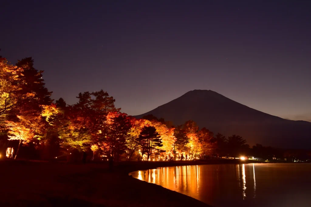ライトアップに照らされた紅葉と背景の富士山と河口湖
