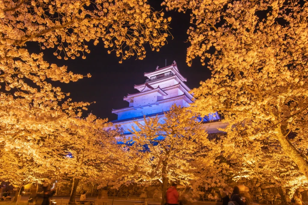鶴ヶ城のライトアップと桜