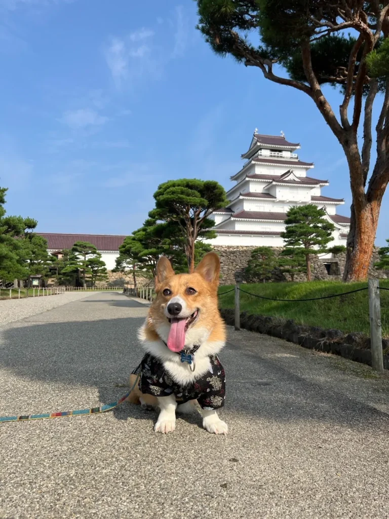 鶴ヶ城と犬