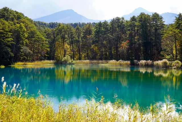 秋色に染まる五色沼湖沼群の景色