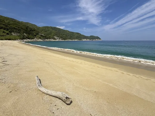 崎川浜の海辺