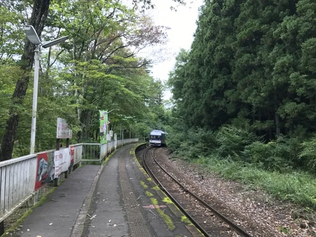 お座トロ展望列車からの景色
