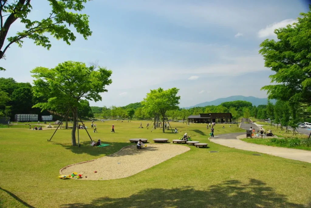 会津レクリエーション公園の芝生