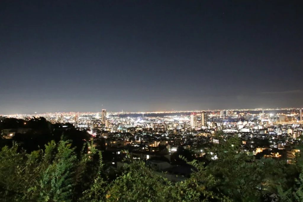 背あぶり山からの夜景