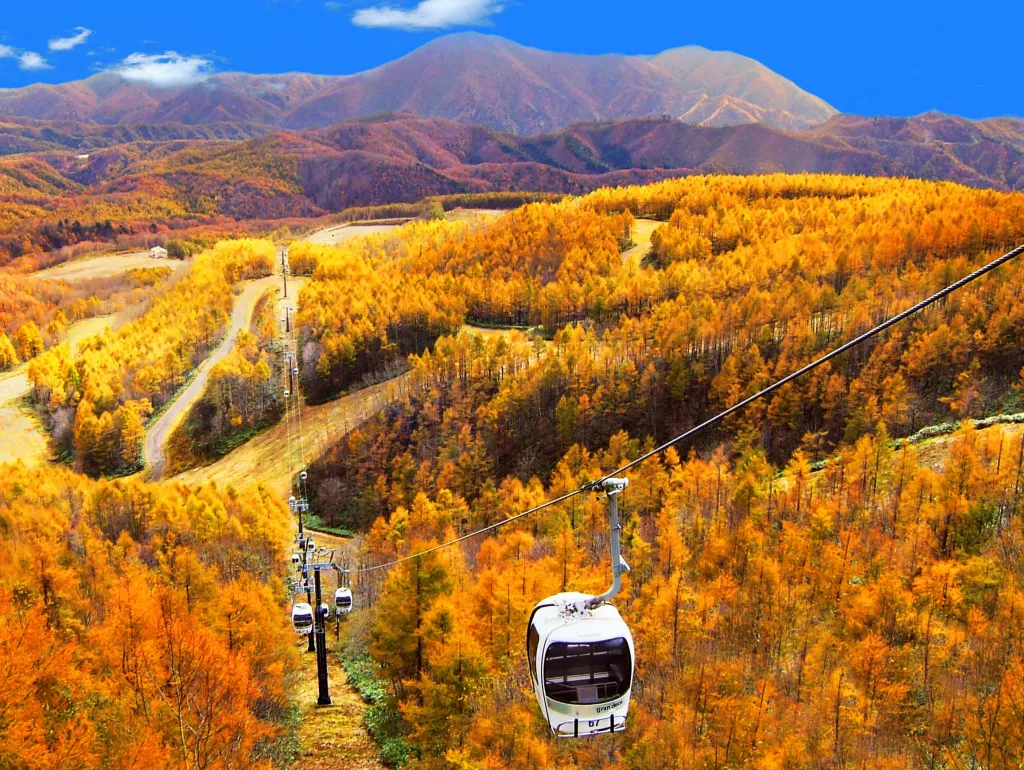 赤色の紅葉で覆われた山々とゴンドラ