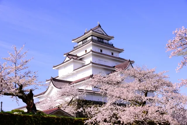 鶴ヶ城と桜の木