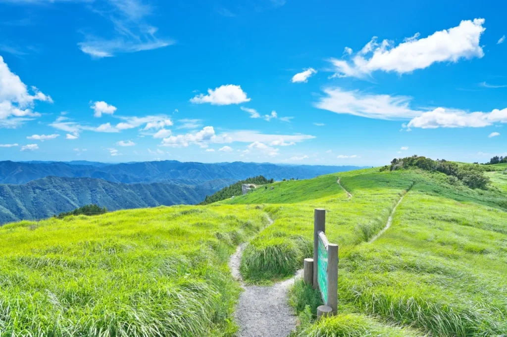 和歌山県のおいし高原の景色