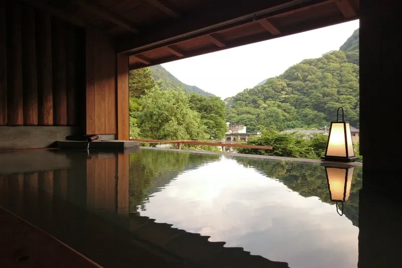 木材の内壁や屋根で囲まれた温泉から、外の山が眺められる様子