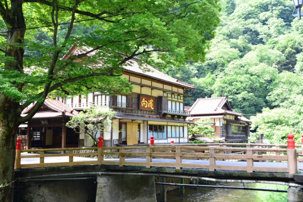 川の上を渡る橋と、その奥に見える東山温泉の風景