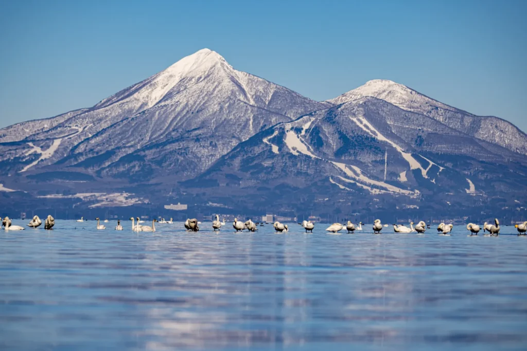 猪苗代湖と雪山と鳥