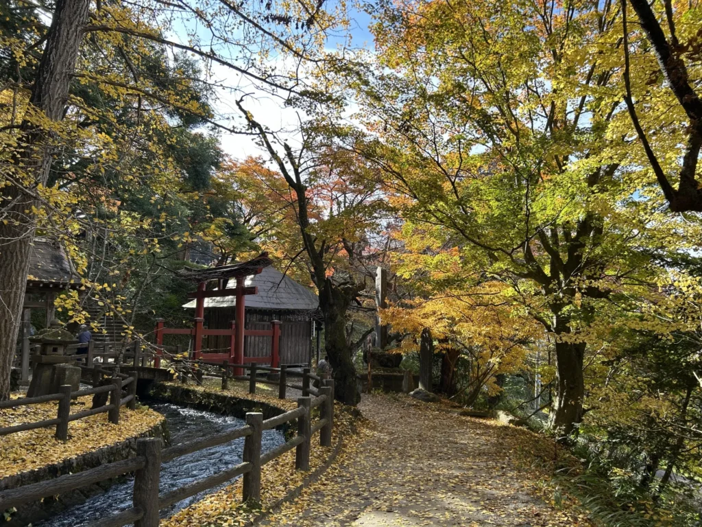 飯盛山の紅葉