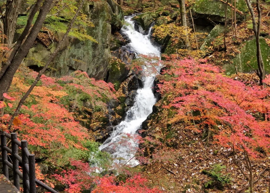 銚子の口の紅葉