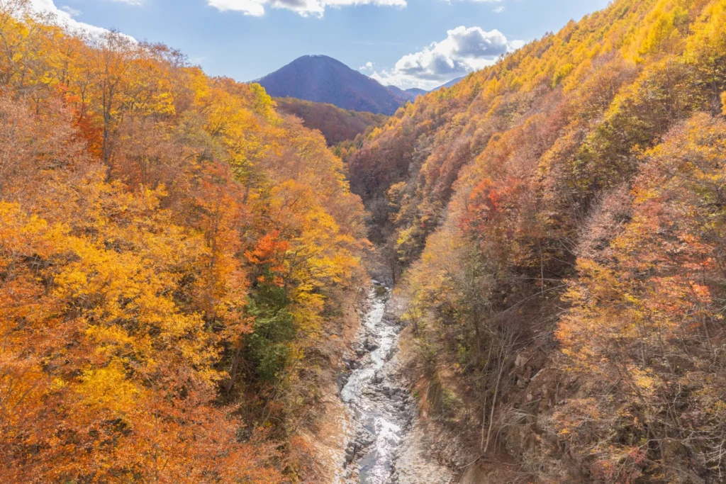 紅葉で染まる中津川渓谷
