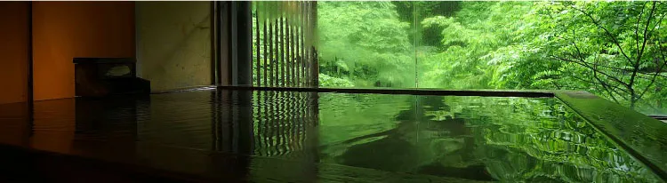 緑の木々に囲まれた温泉