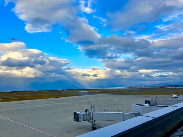 展望デッキからの風景