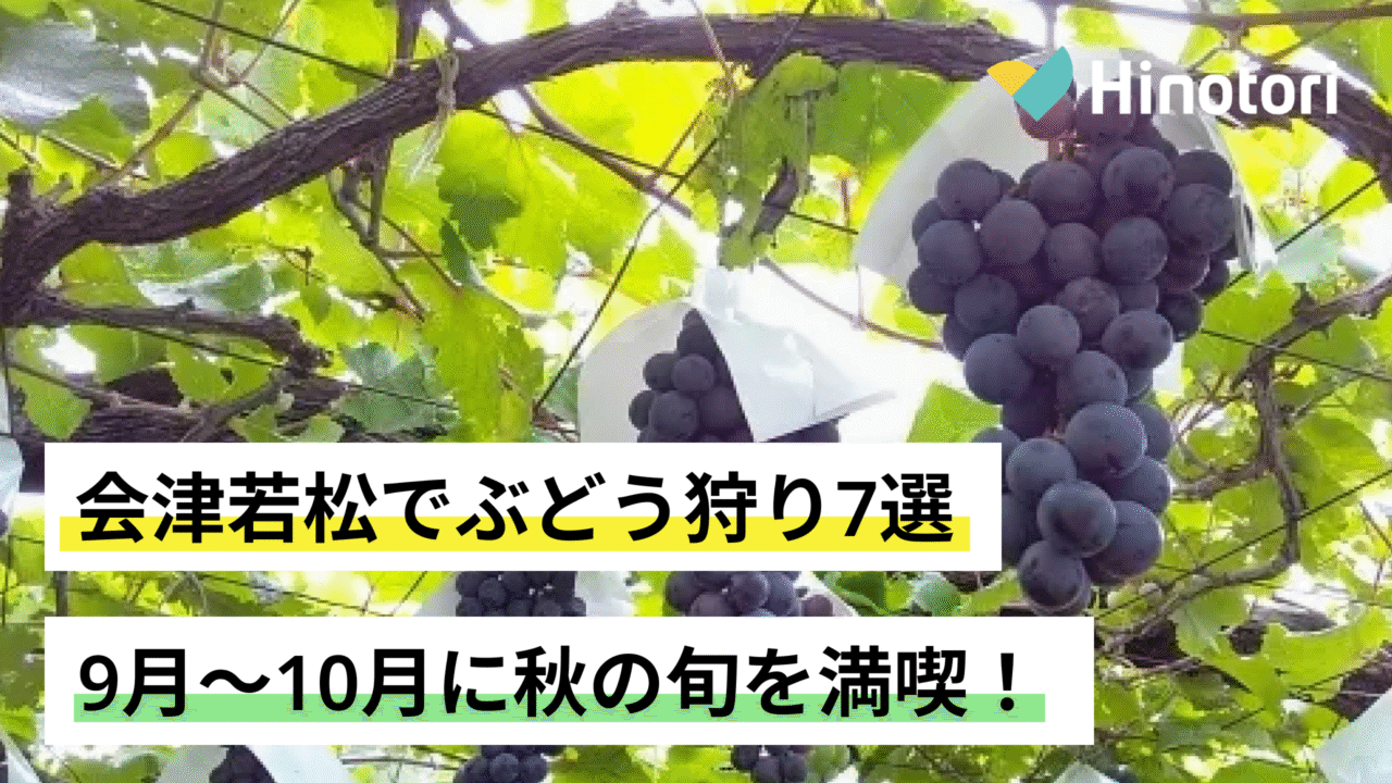 会津若松 ぶどう狩り