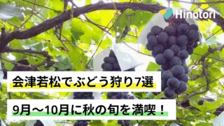会津若松 ぶどう狩り