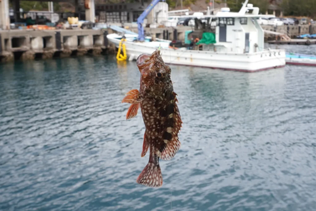 船の上での釣り体験