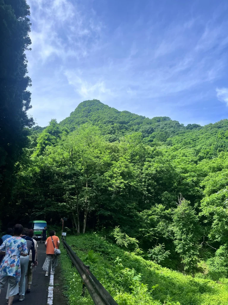 大自然の山々の様子