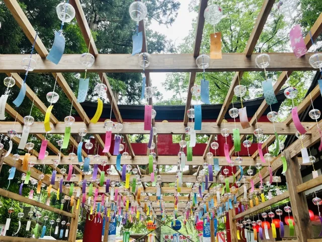 summer at the flower water basin