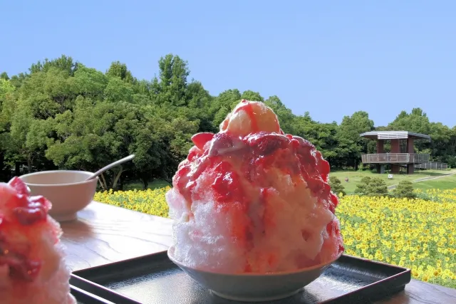 Exquisite shaved ice made with homemade syrup and ice