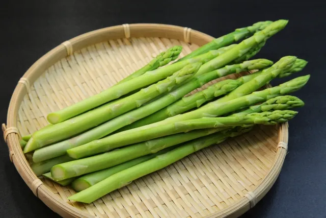 Aizu-Wakamatsu in the spring