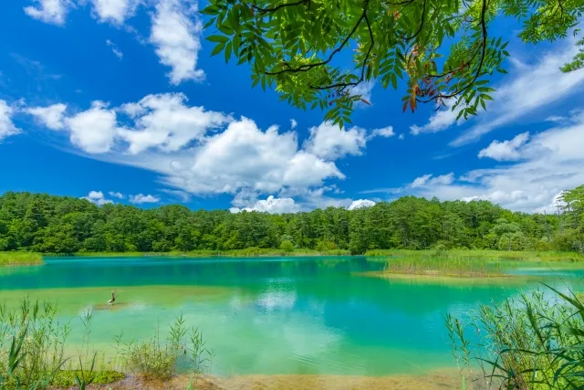 Mysterious lakes sparkling in Goshikinuma Lakes