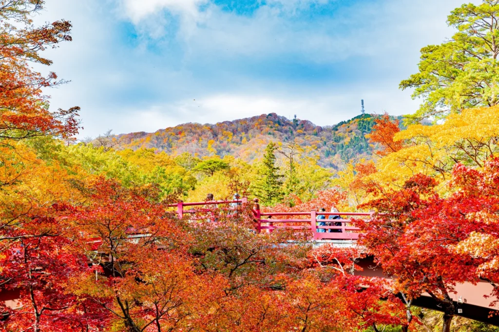 弥彦公園