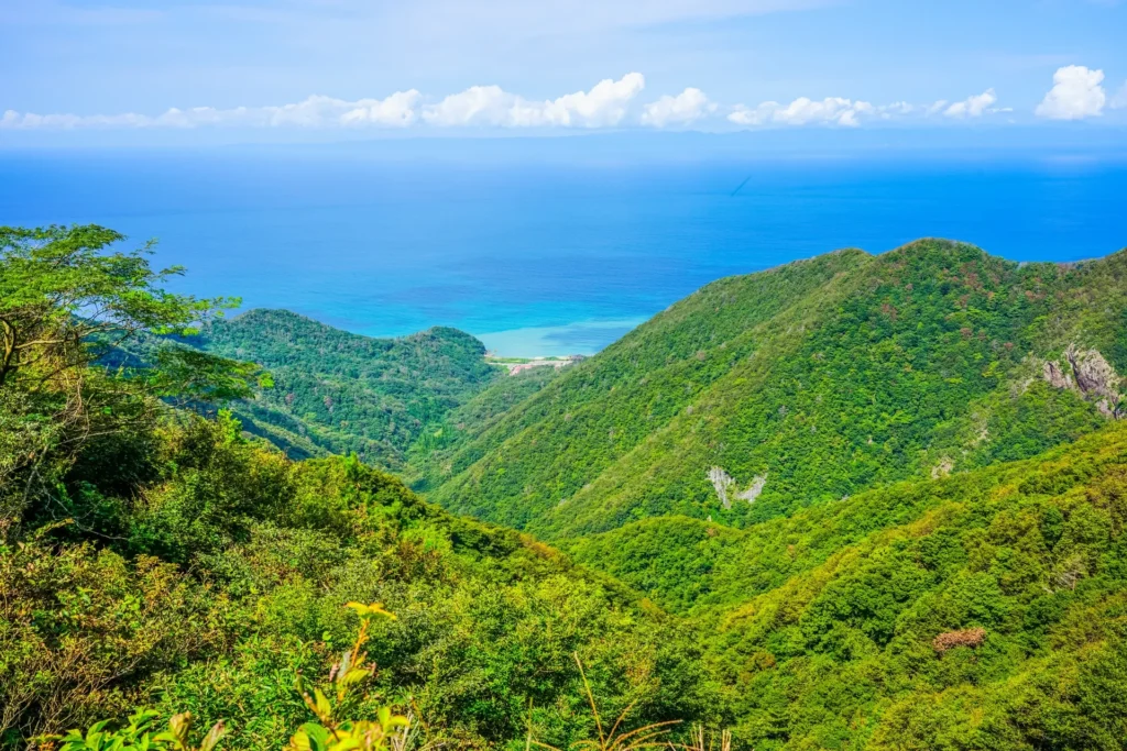 弥彦山の山頂からの景色