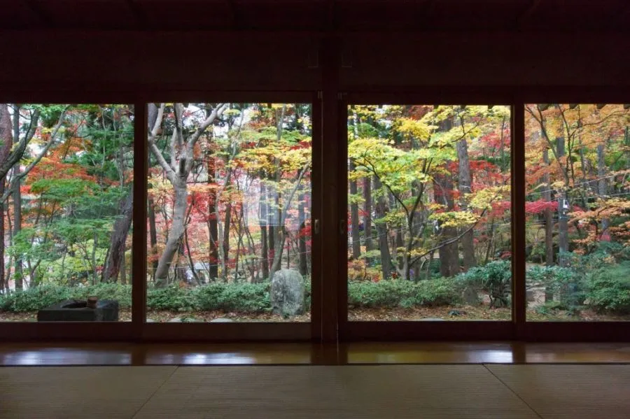 木村茶道美術館から見る紅葉