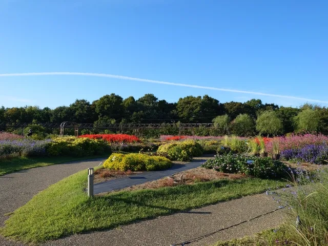 花とグルメの楽園