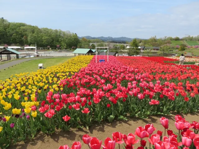 四季の花々に包まれる広大な公園