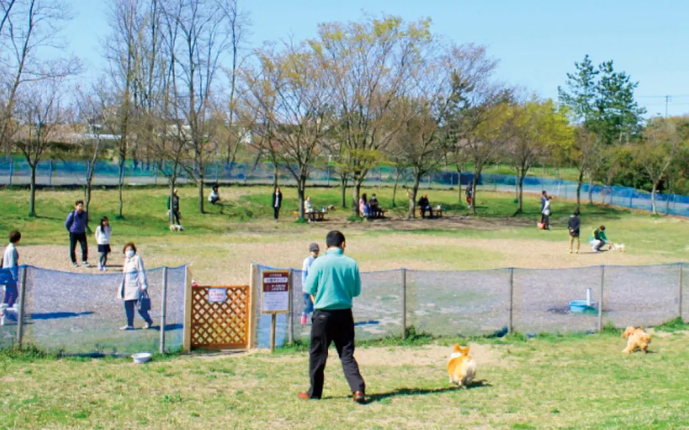 愛犬とのお散歩にぴったりな緑豊かな芝生エリアや遊歩道