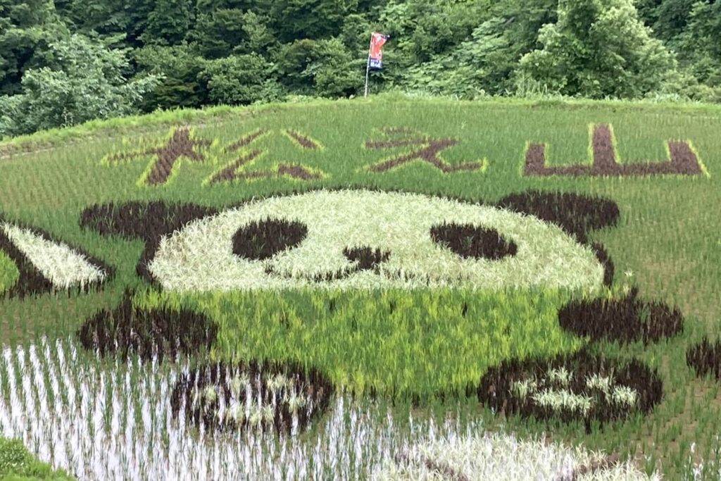 四季が描く大自然のキャンバス棚田アート