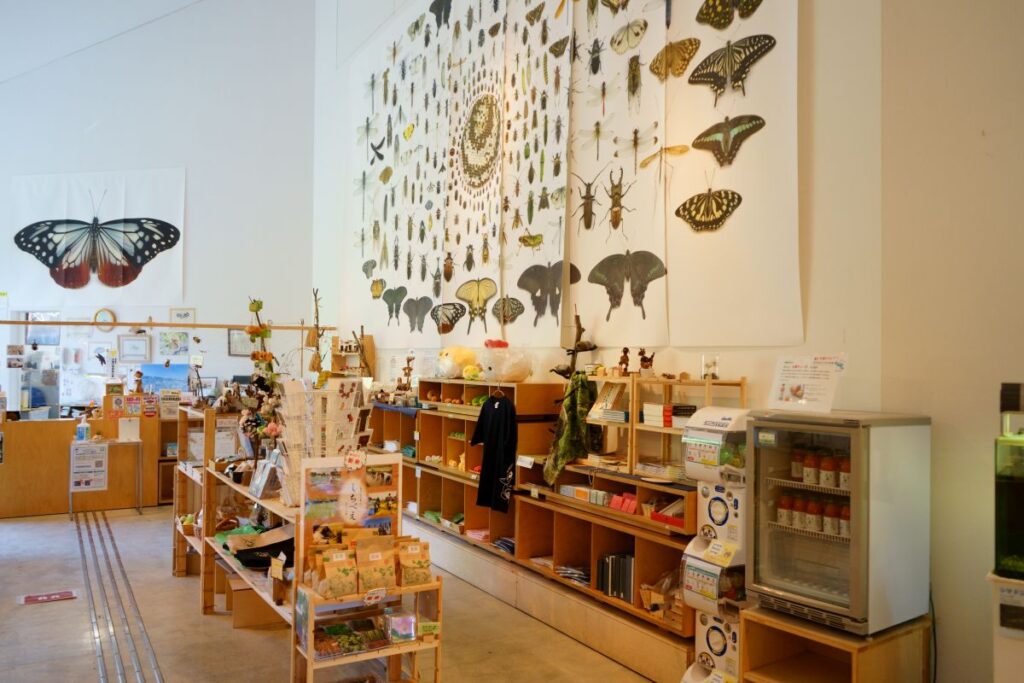 森と触れ合う体験型ミュージアム