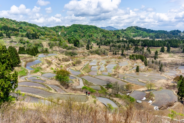 朝霧に包まれる絶景の田園風景