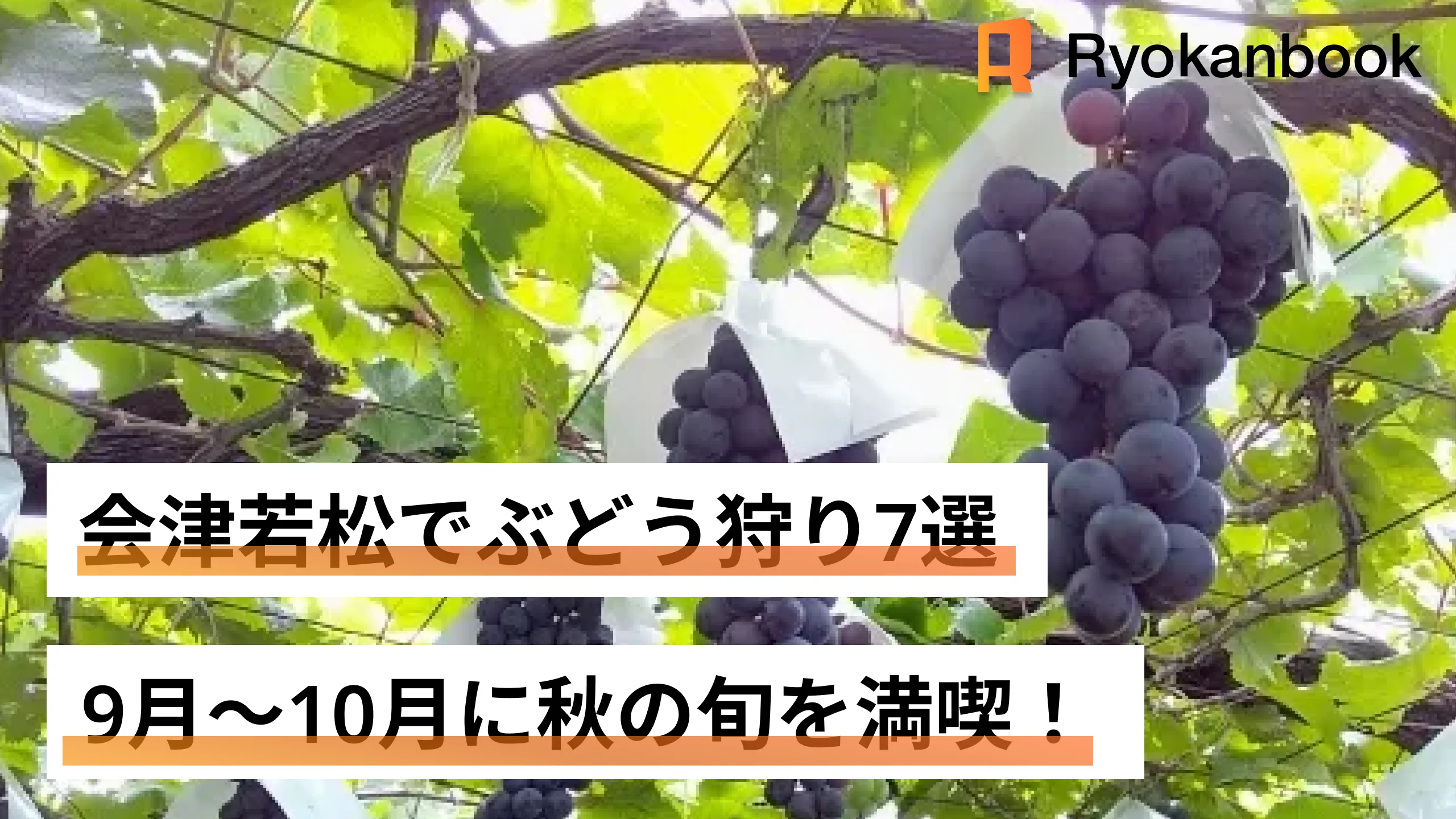 ブウ狩り　7枚セット 会津若松でぶどう狩り7選｜9月〜10月に秋の旬を満喫！｜Hinotori