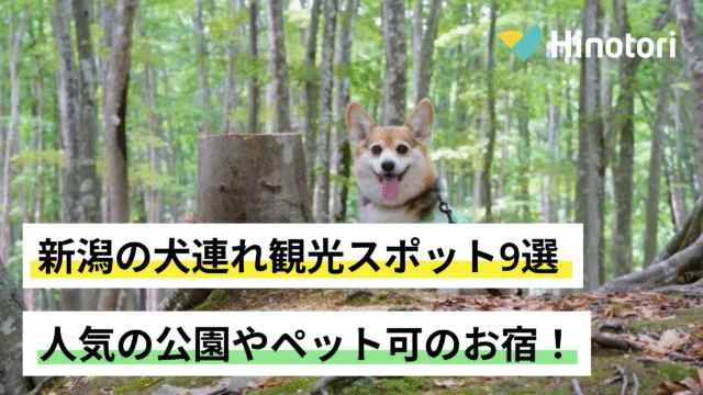 新潟　犬連れ観光